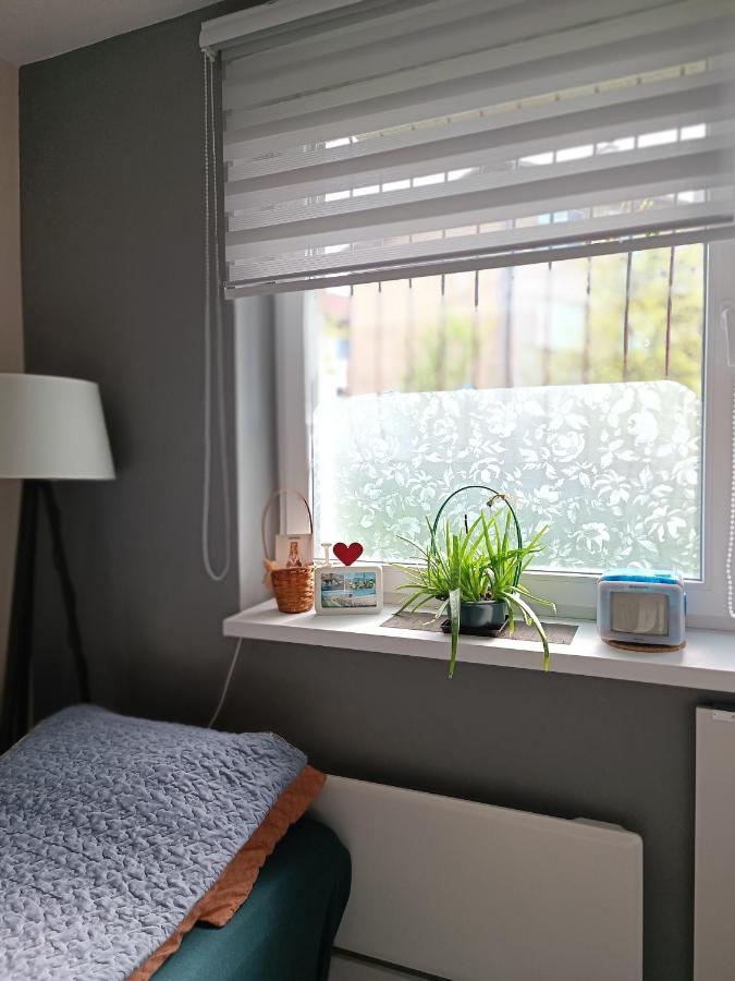 Cozy, Nice & Quiet Apartment Lucky Sarajevo - Free Public Parking ภายนอก รูปภาพ